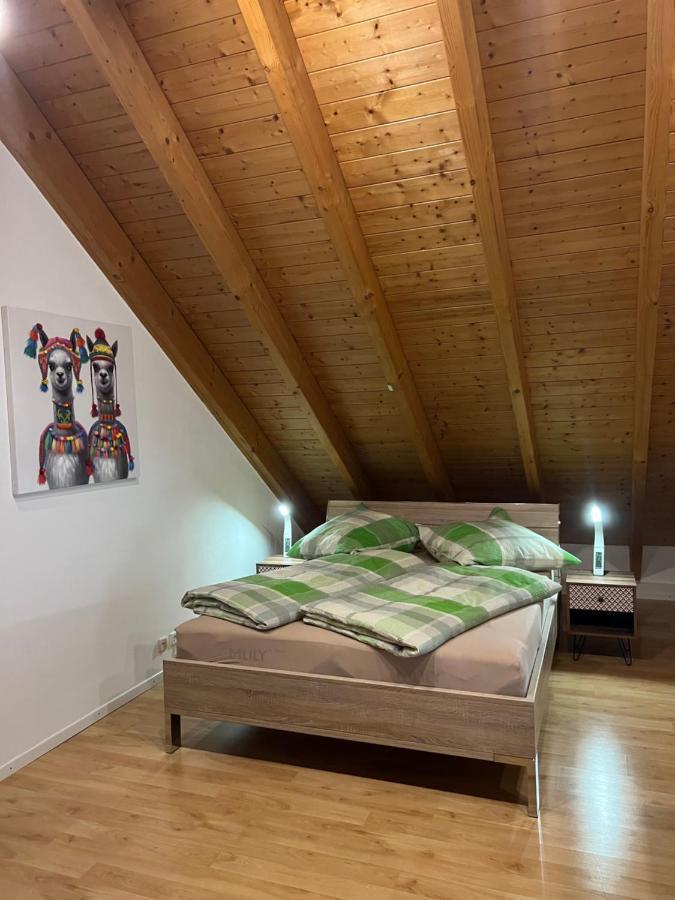 Ferienwohnung Zentral In Loerrach - Konus Gaestekarte Inklusive Eksteriør bilde